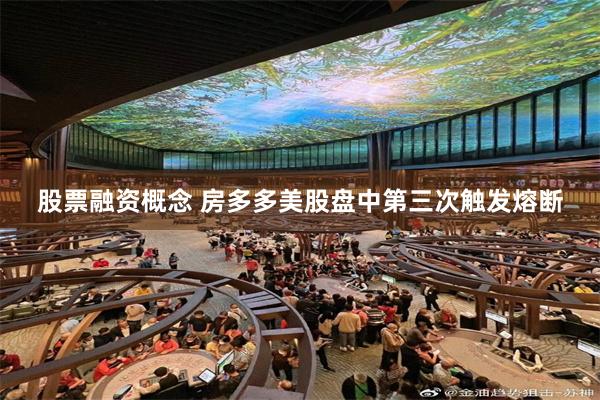 股票融资概念 房多多美股盘中第三次触发熔断