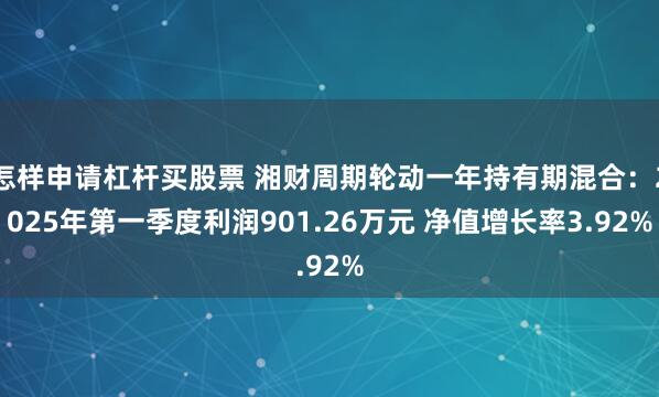 怎样申请杠杆买股票 湘财周期轮动一年持有期混合：2025年第一季度利润901.26万元 净值增长率3.92%