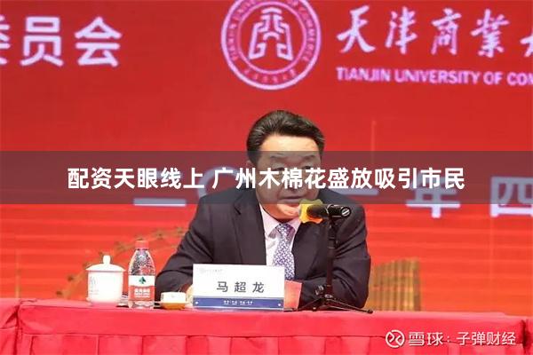 配资天眼线上 广州木棉花盛放吸引市民