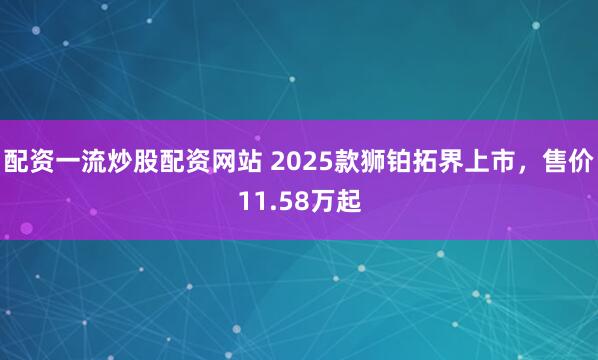 配资一流炒股配资网站 2025款狮铂拓界上市，售价11.58万起