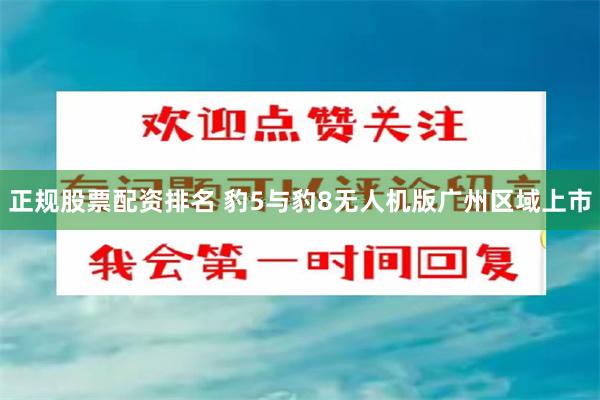 正规股票配资排名 豹5与豹8无人机版广州区域上市