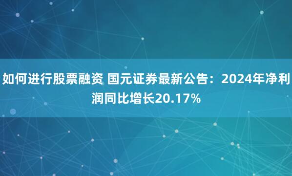 如何进行股票融资 国元证券最新公告：2024年净利润同比增长20.17%
