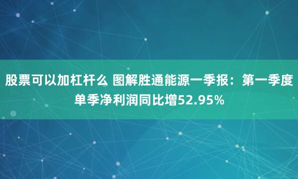 股票可以加杠杆么 图解胜通能源一季报：第一季度单季净利润同比增52.95%