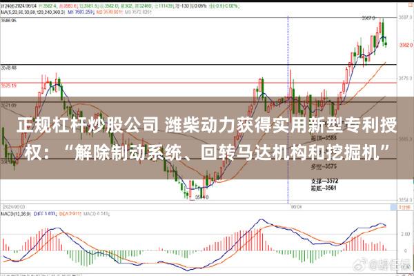 正规杠杆炒股公司 潍柴动力获得实用新型专利授权：“解除制动系统、回转马达机构和挖掘机”