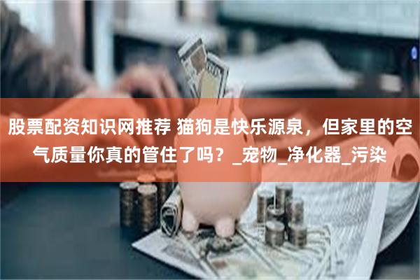 股票配资知识网推荐 猫狗是快乐源泉，但家里的空气质量你真的管住了吗？_宠物_净化器_污染