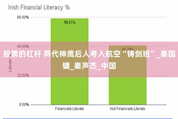 股票的杠杆 两代神鹰后人考入航空“铸剑班”_秦国镛_秦声杰_中国