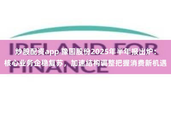 炒股配资app 豫园股份2025年半年报出炉：核心业务企稳复苏，加速结构调整把握消费新机遇